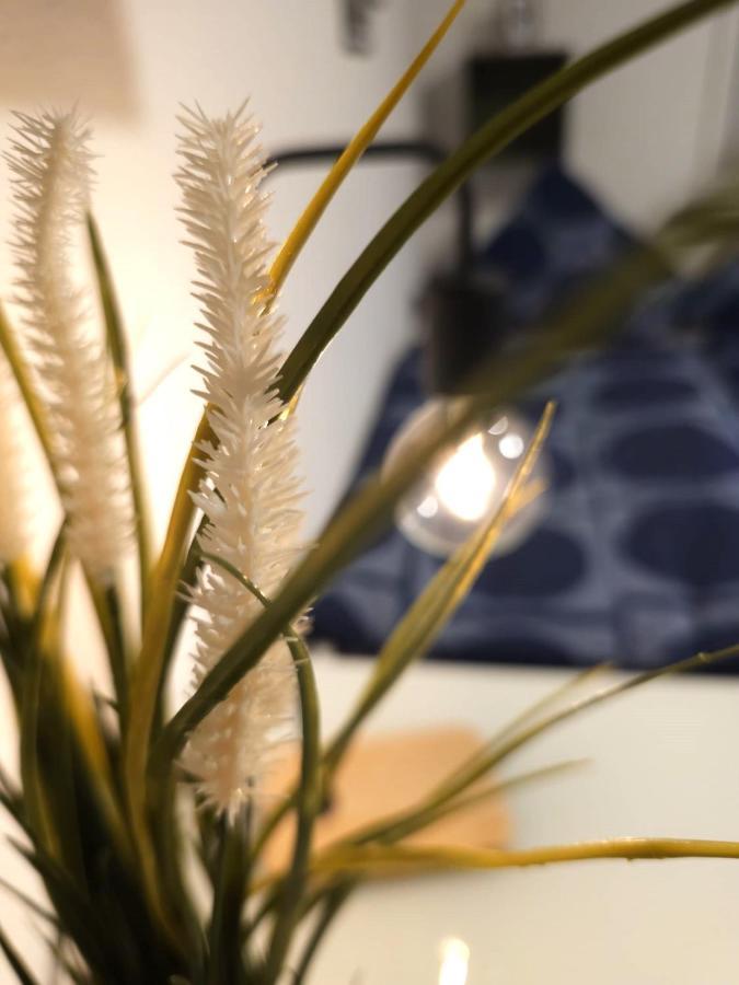 Apartment Pohl *